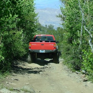 Hunter Lake Trail 05