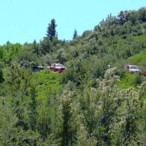 Hunter Lake Trail 08