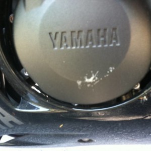R6s Crank Case Scratch