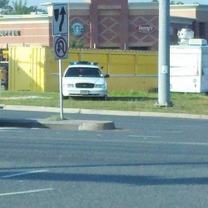 Decoy