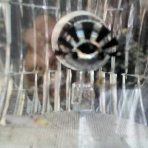 IMG_20110808_153351