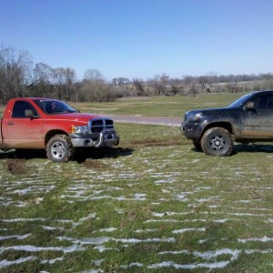 TACO106