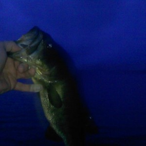 Solid 3.5 #er!!