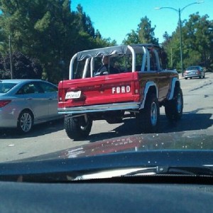 Amazing bronco