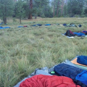 tarpcamping