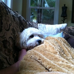 Me and carpet dog watching surfing on fuel because the surf here sucks righ
