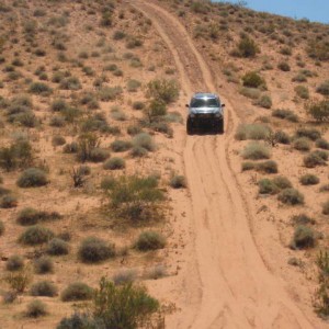 Logandale_run_018