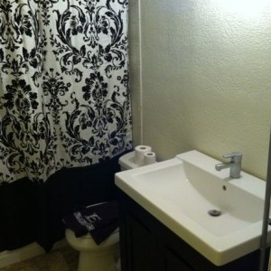 FAT. Next up vanity and light fixture.