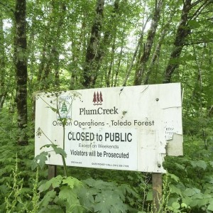 Plum Creek