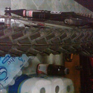 IMG00753-20110815-2128
