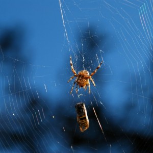 DSC_0021-1280x846