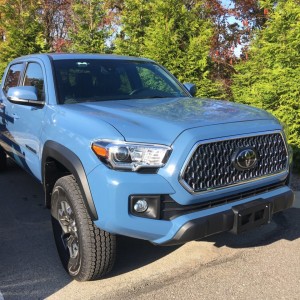 cavalry blue for days