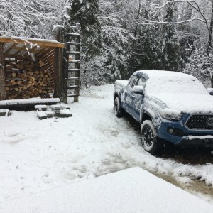 winter in the taco's natural habitat