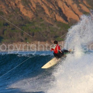 shred