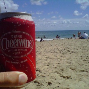 2 of the 3 best things to come out of north carolina....and no lurry your n
