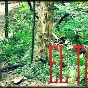 DSC_0069-1-picsay