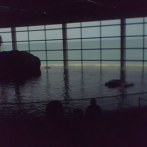 Chicago aquariam
