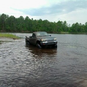 mud61