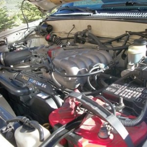 taco1146