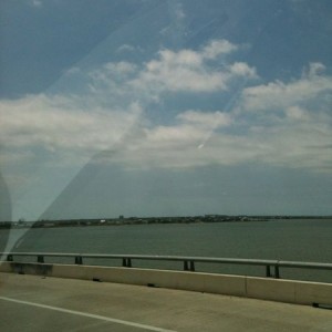 I was out in the gulf a few days ago. Good views