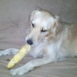 Non nom
