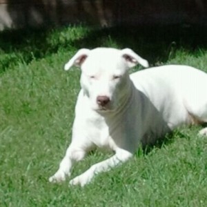 Asian Pit. Lol. She squints in the sun.