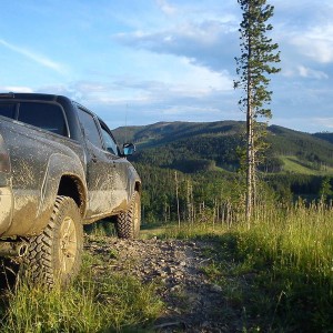 McLean Creek scenery