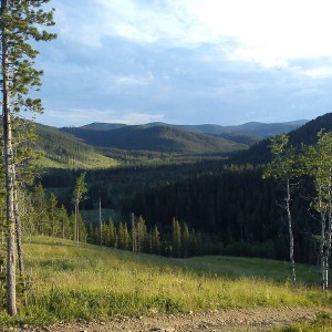 McLean Creek scenery
