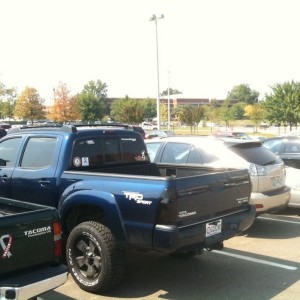 Welcome to Alabama Lacy