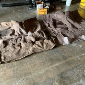 Carpet2