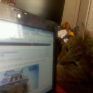 She's peeking....