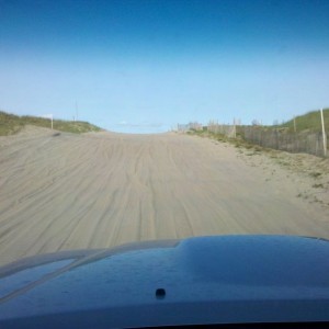 Staring over the dunes