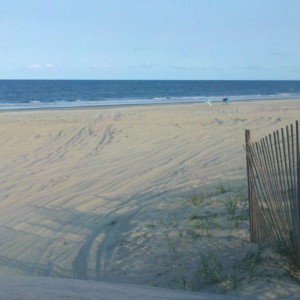 Over the dune. Never gets old.