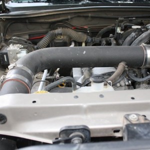 Urd intake