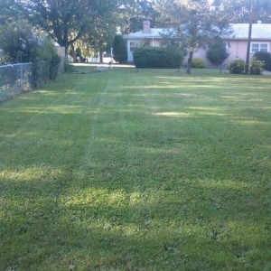 New mower does good