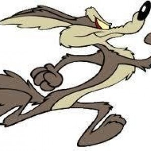 Wil E Coyote