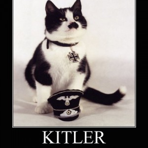 demotivational-poster-7oz8wpqknj-KITLER1