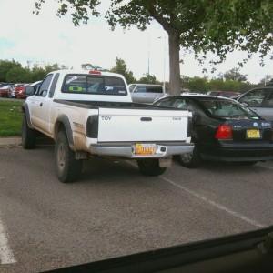 Spotted at UNM south lot
