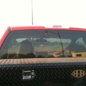 Yep ridin in the bed, single cab truck