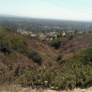 My office view for the day