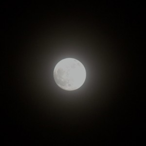 DSC_1759_v2-1280x899