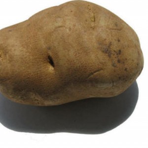 potato