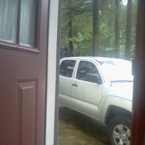not soggy, but in threat of a pine tree falling on it. . . dont be mean, ir