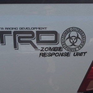 Zombie Graphic