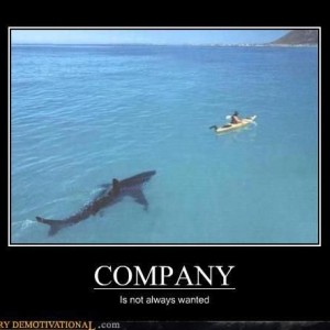company
