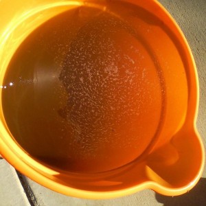 This is the dirty water from washing my Prodry s filter. 12,000 miles on th
