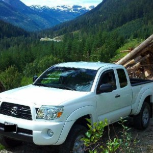 Forest service road outside Pemberton/Whistler area B.C.