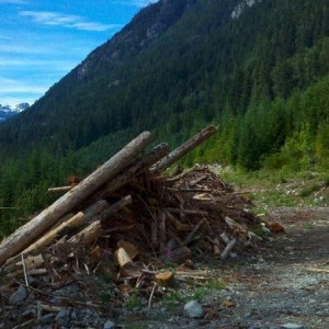 Forest servie road outside Pemberton/Whistler area B.C.