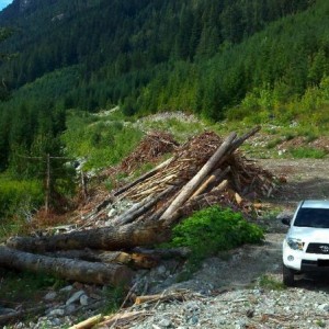 Forest servie road outside Pemberton/Whistler area B.C.