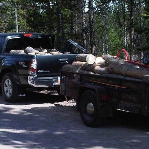 Firewood Trip